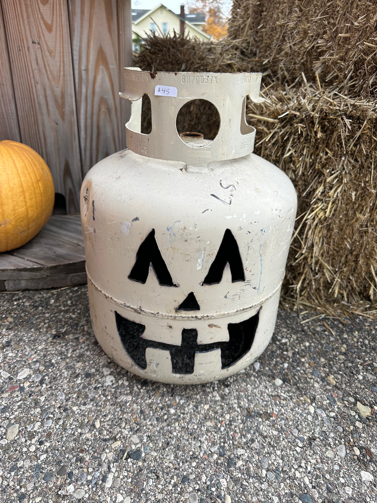 Jack o Lantern